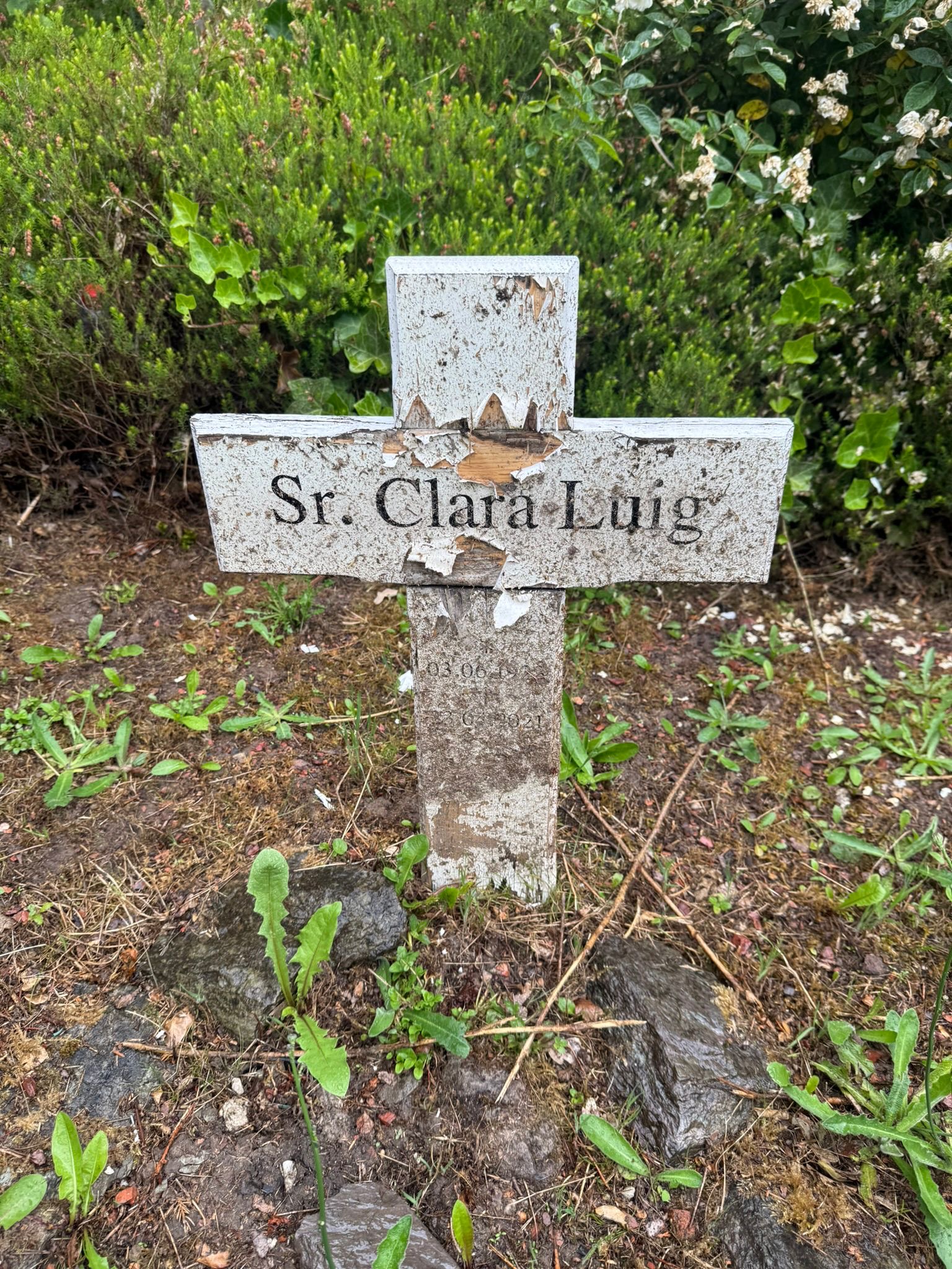 Schwester Clara