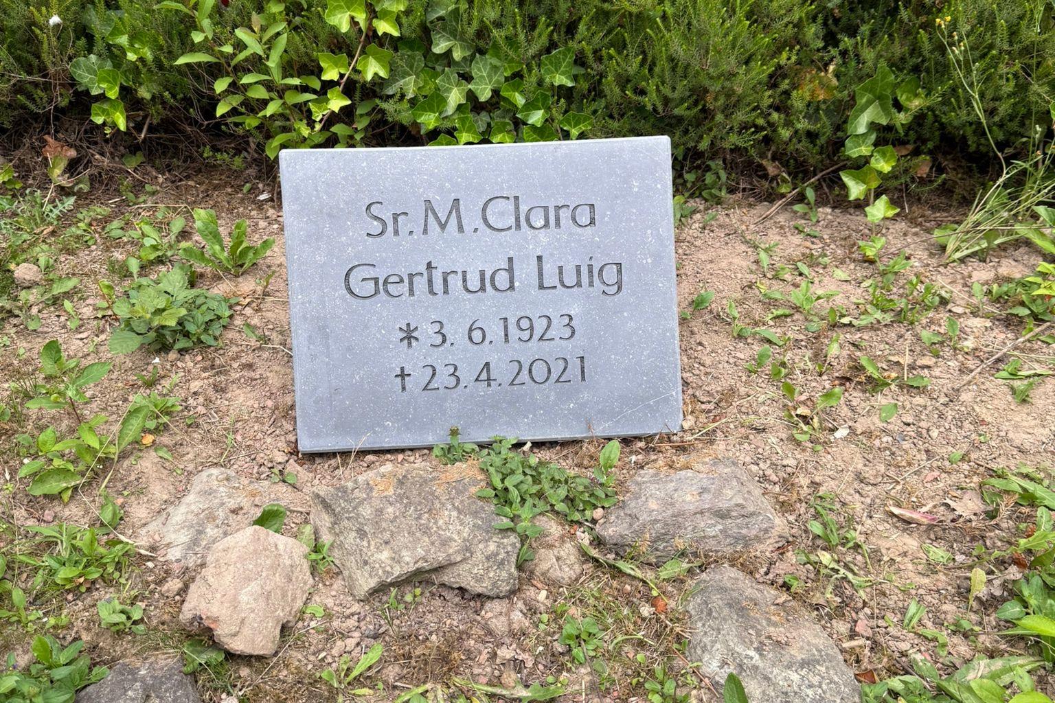 Schwester Clara