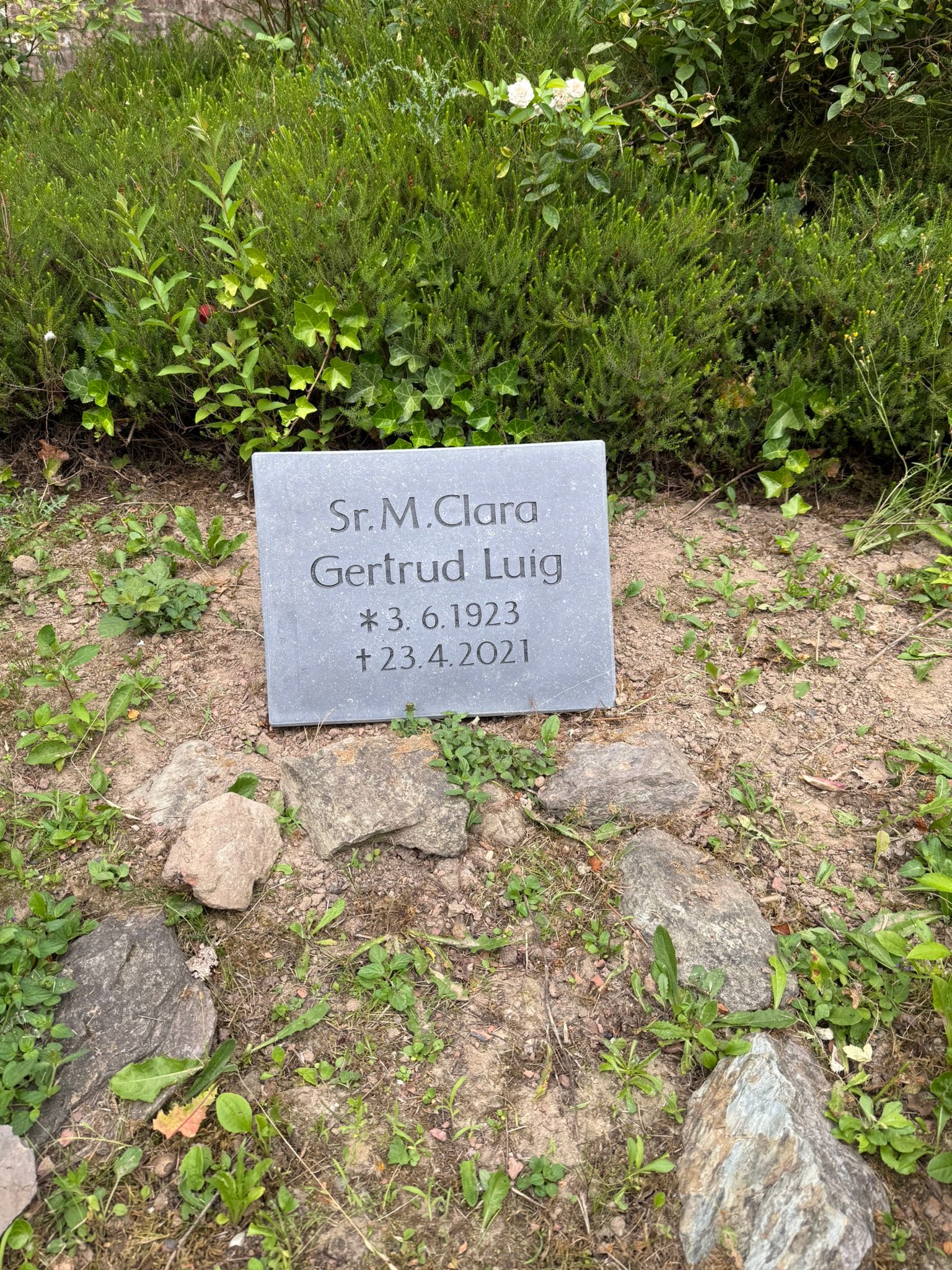 Schwester Clara