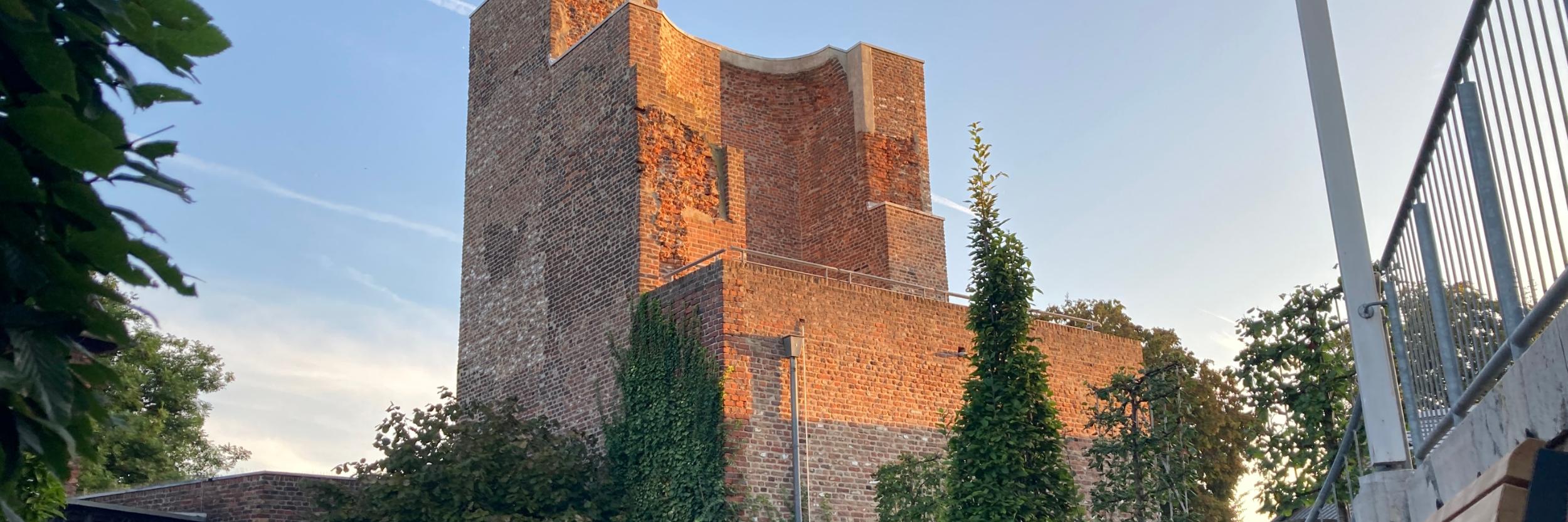 Rosengarten 2023