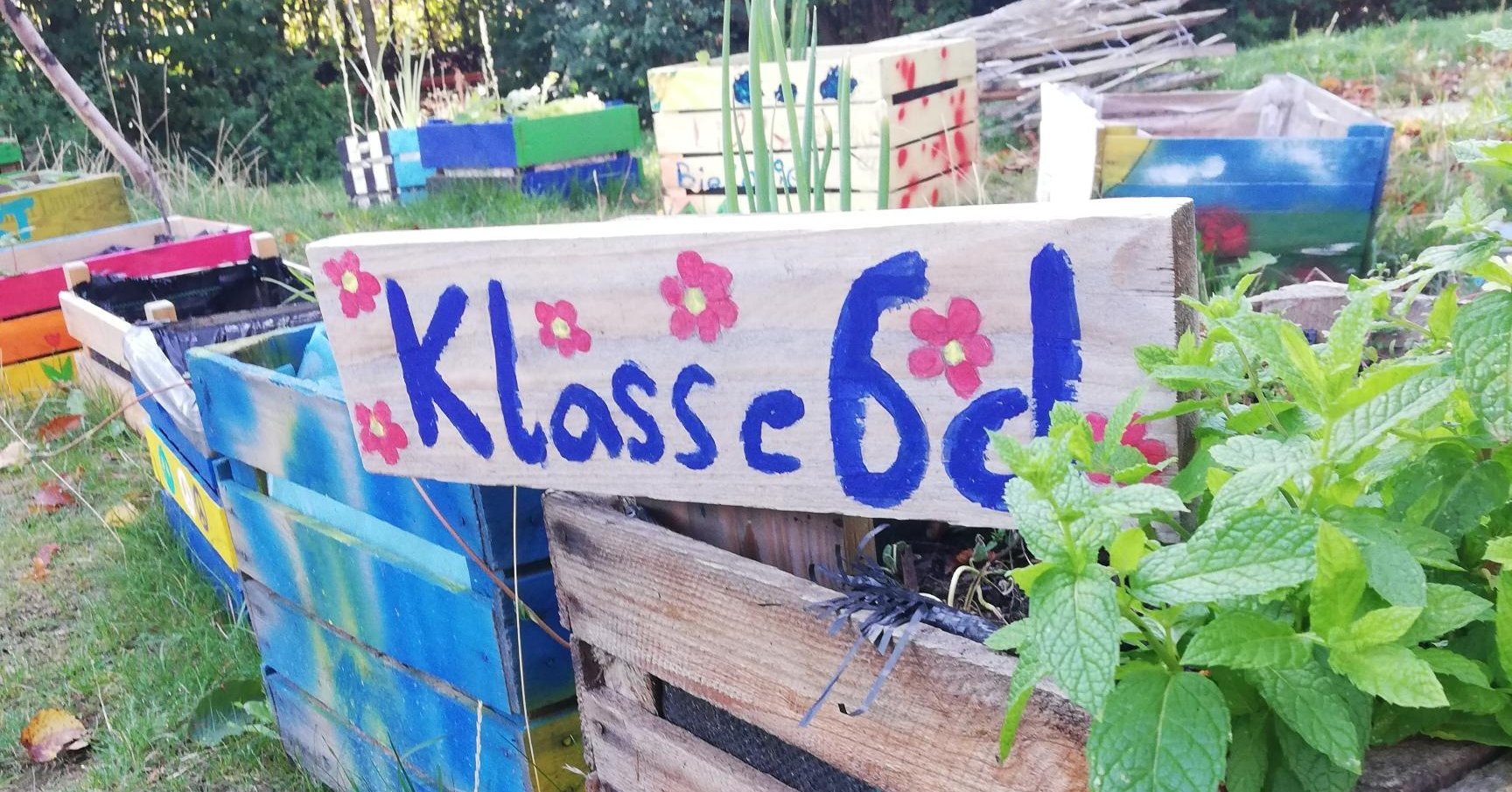 „Gärtnern in der Kiste“ am Bischöflichen Gymnasium Sankt Ursula Tag