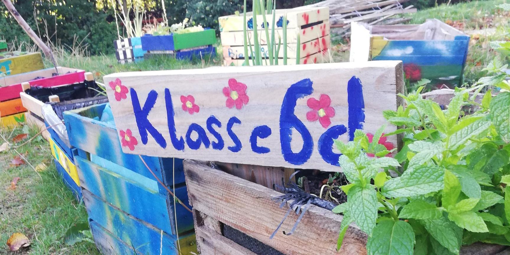 Klasse 6d