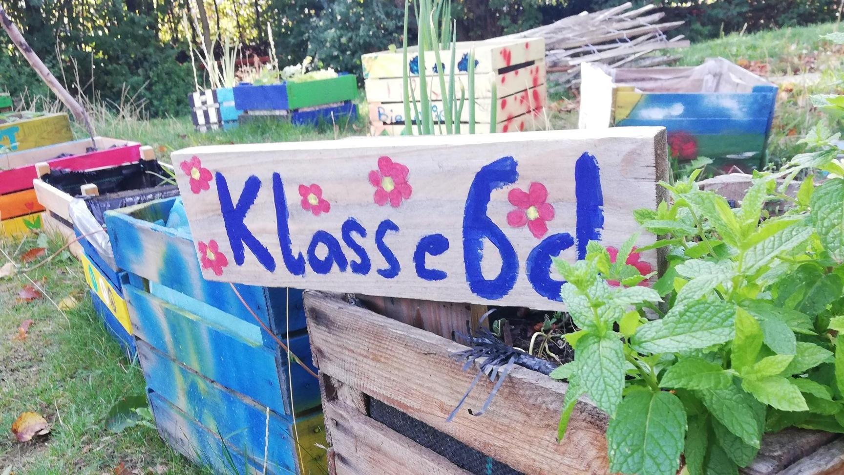 Klasse 6d