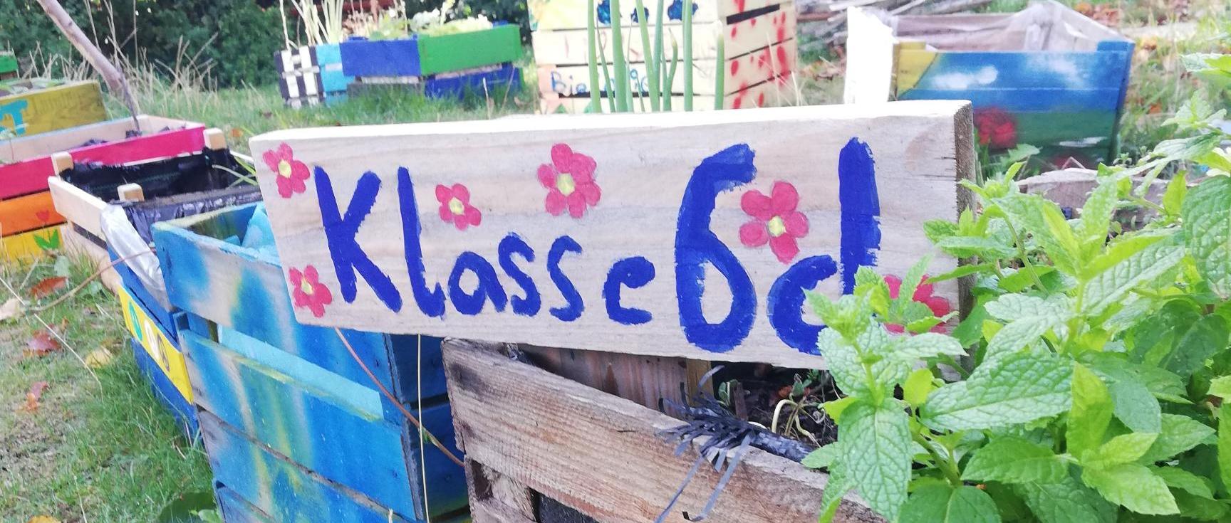 Klasse 6d