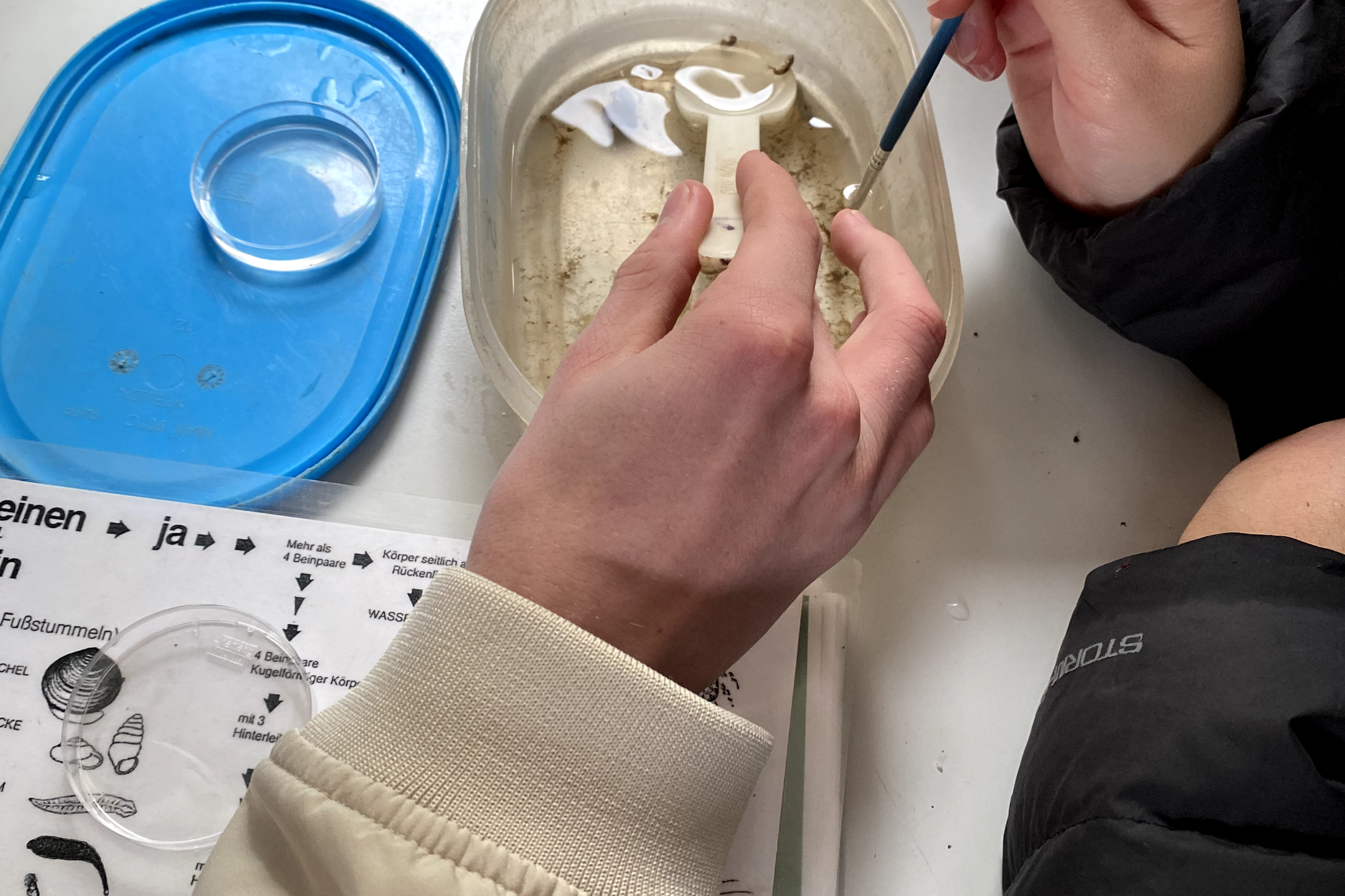 Energie und Umwelt_Lumbricus