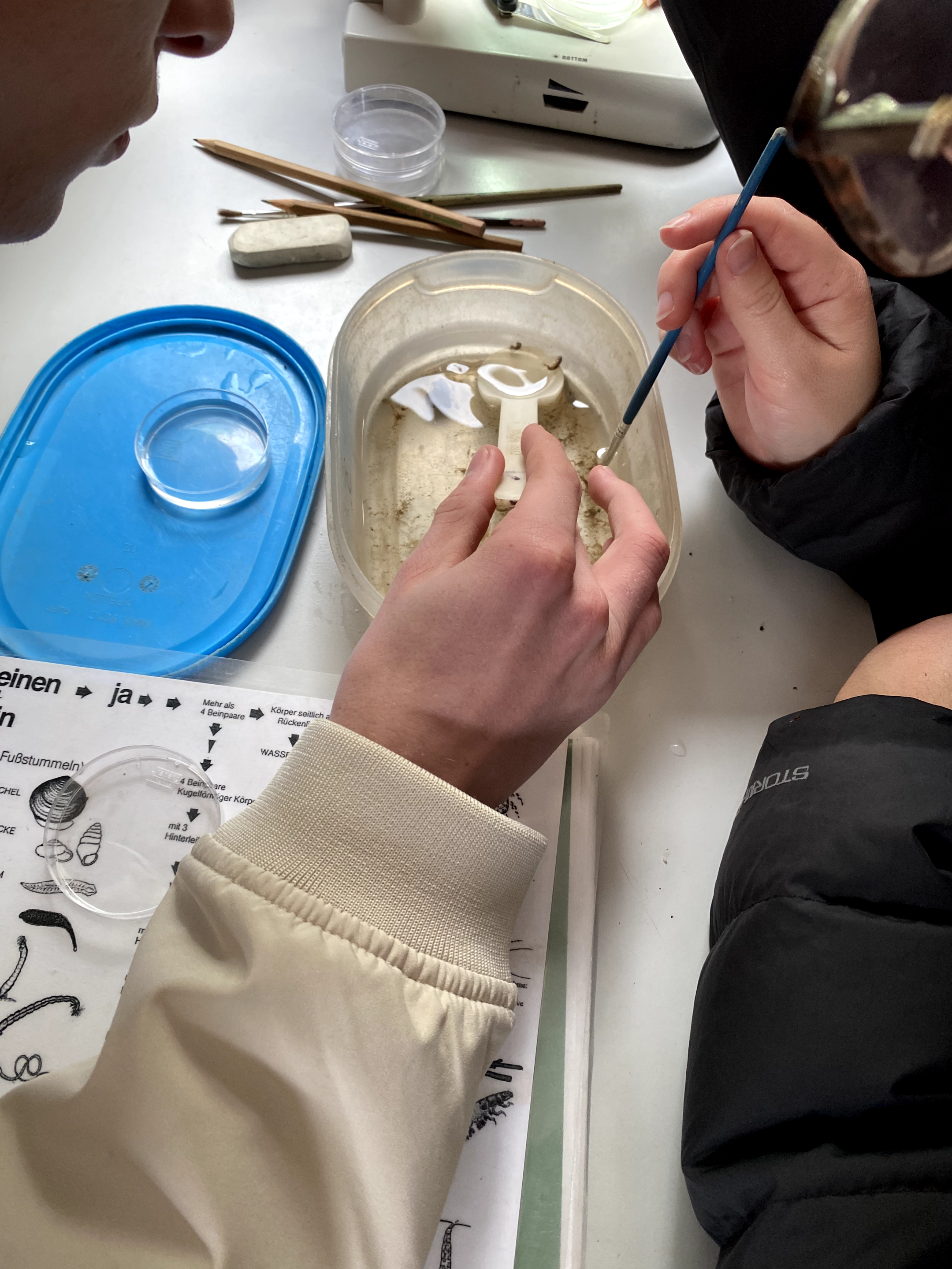 Energie und Umwelt_Lumbricus