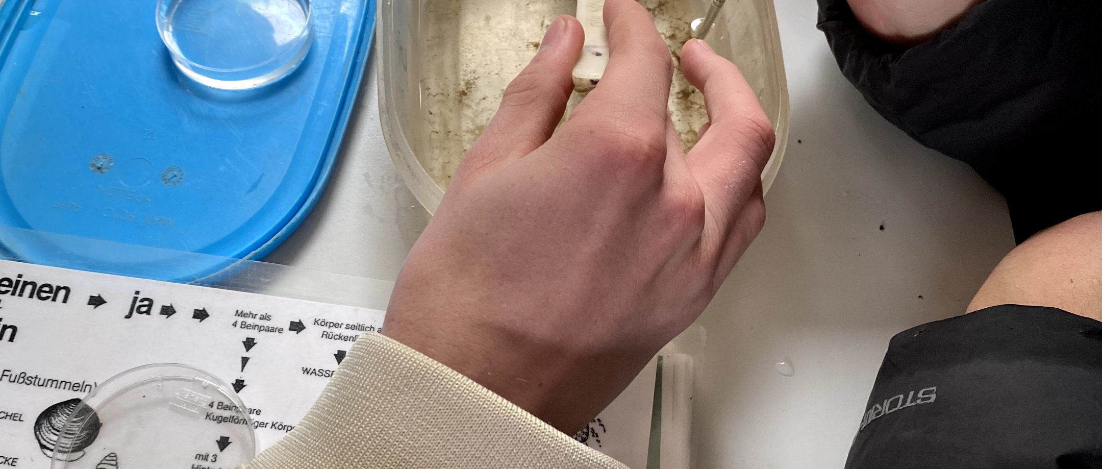 Energie und Umwelt_Lumbricus