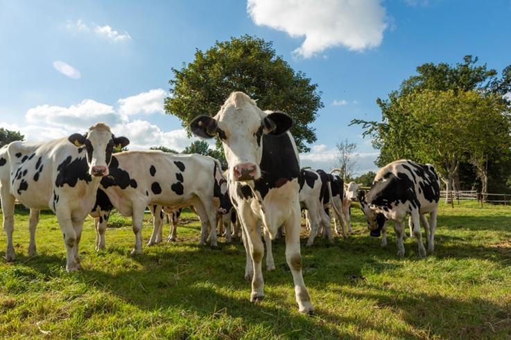 Exkursion Familienhof Cremer