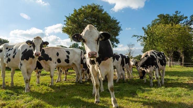 Exkursion Familienhof Cremer