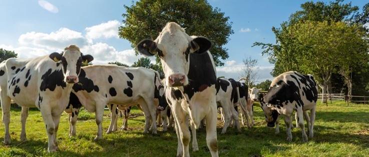 Exkursion Familienhof Cremer