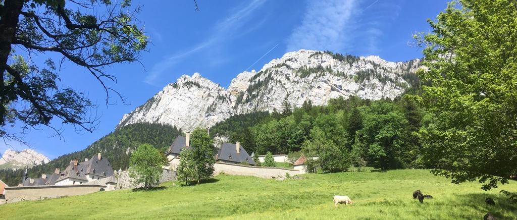 UNADJUSTEDNONRAW_thumb_28ef