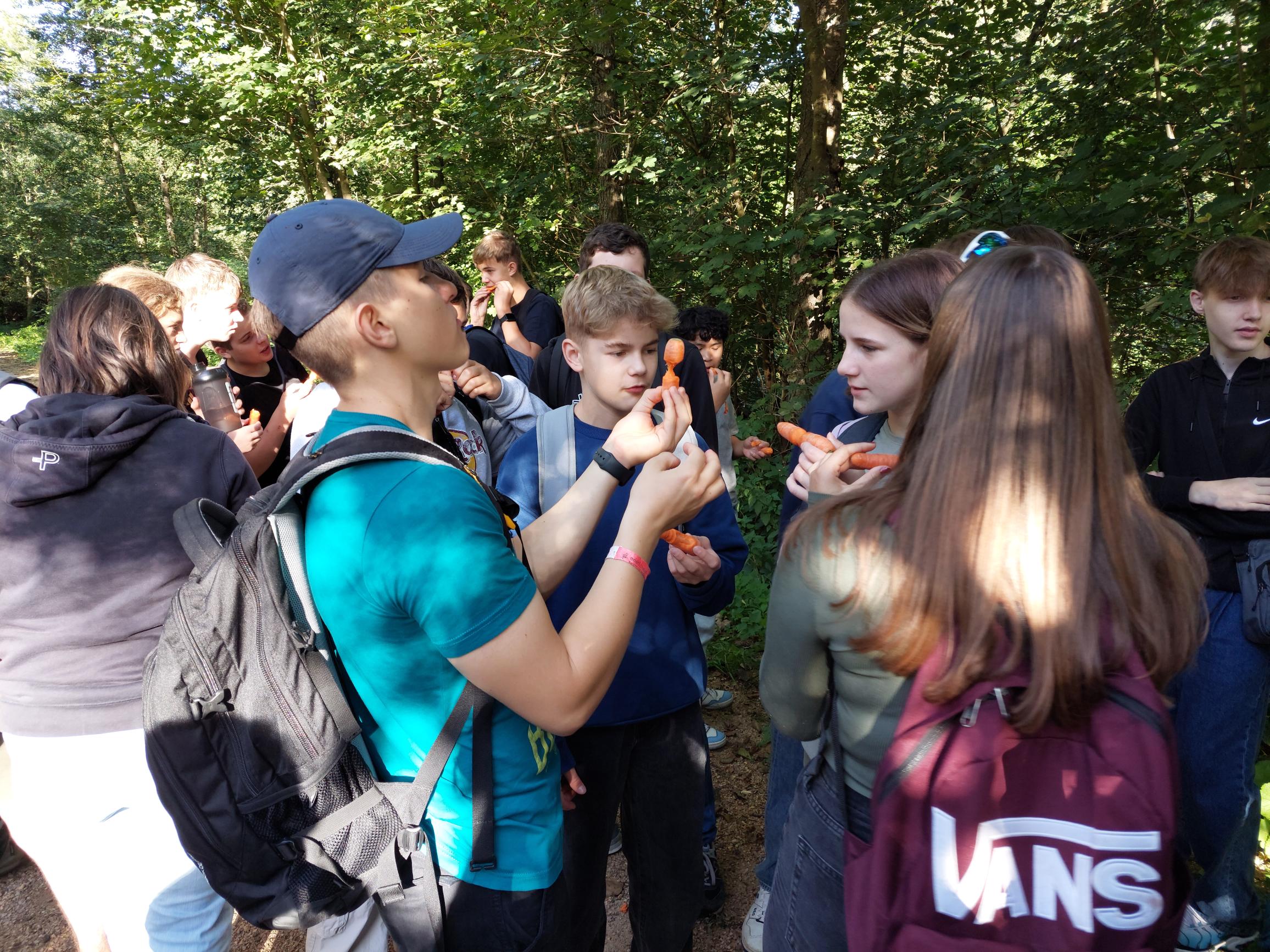 9a in Nideggen