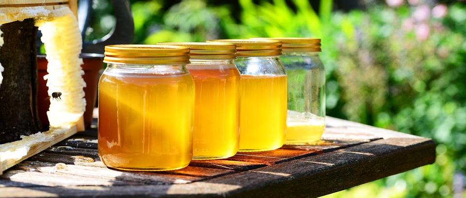 Bienen-AG