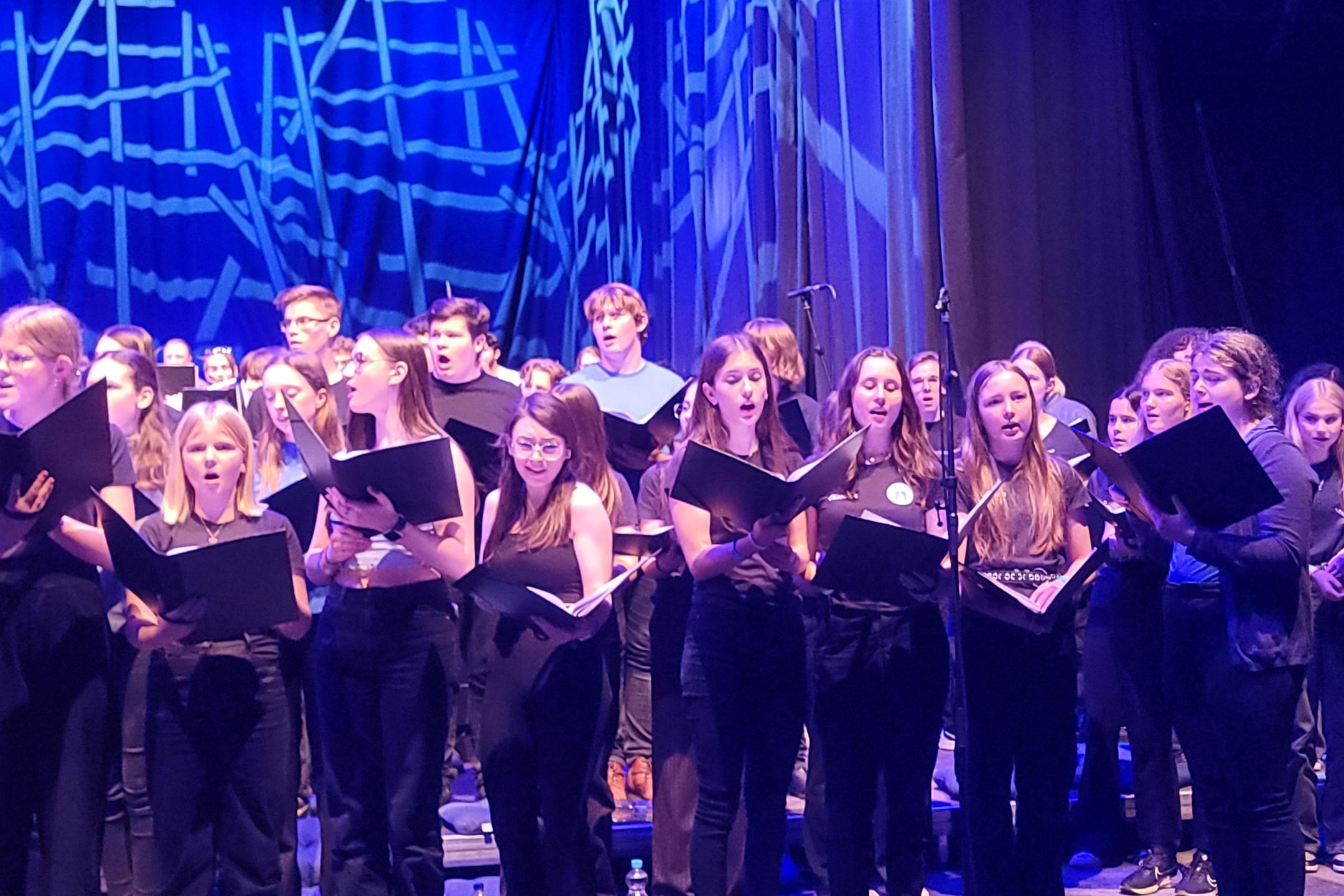 Singing Circus Festival Kammerchor 2