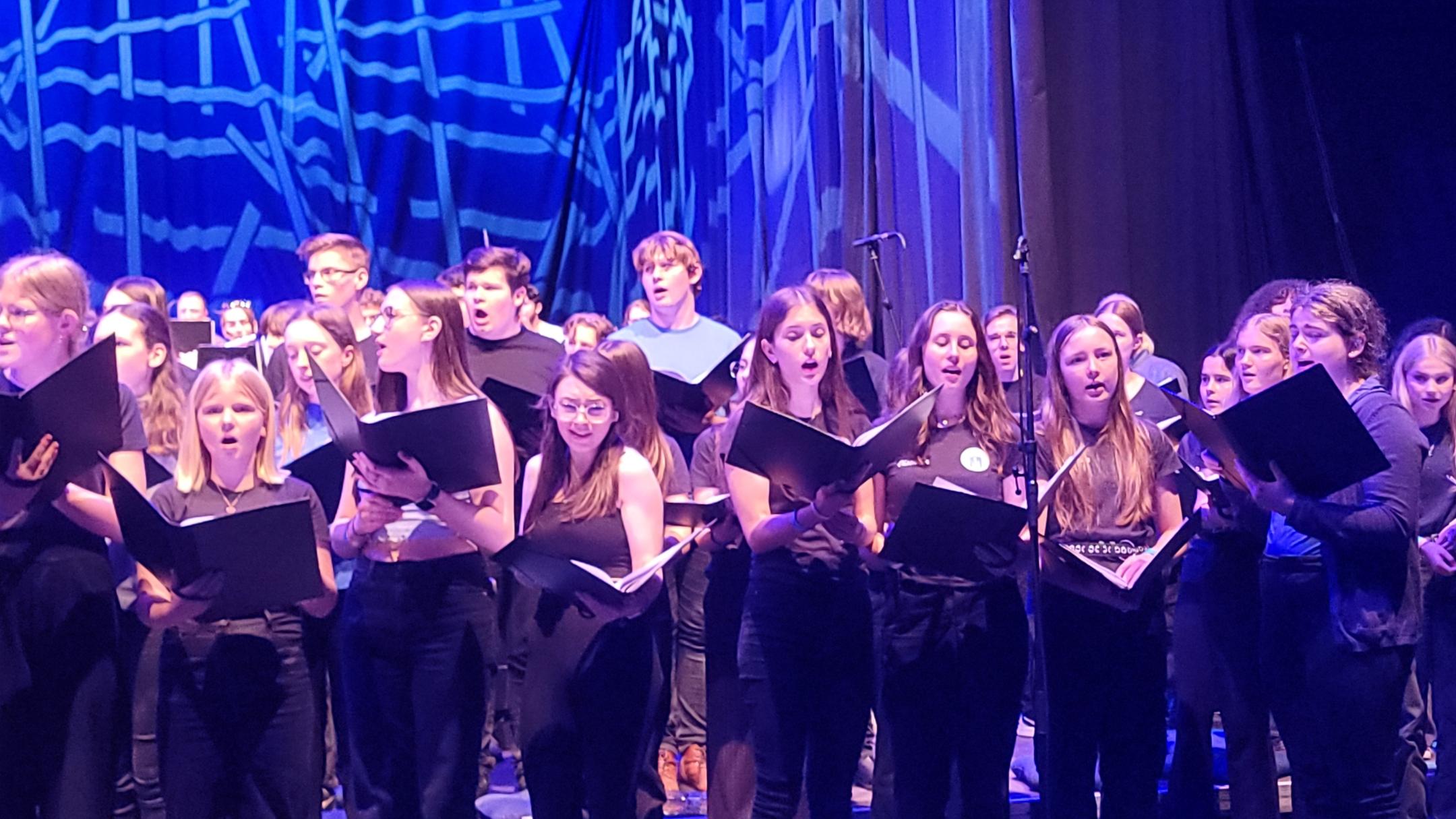 Singing Circus Festival Kammerchor 2