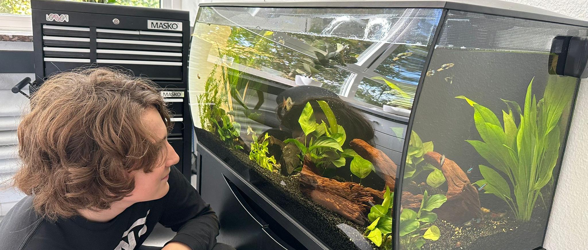 Aquarium mit Schueler