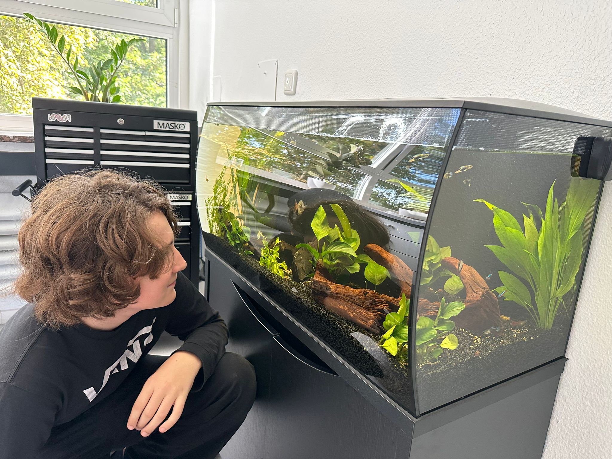 Aquarium mit Schueler